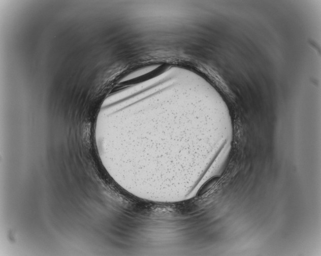 X0000097800066200804110935