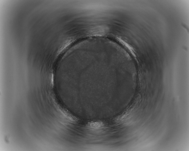 X0000097800067200804110935