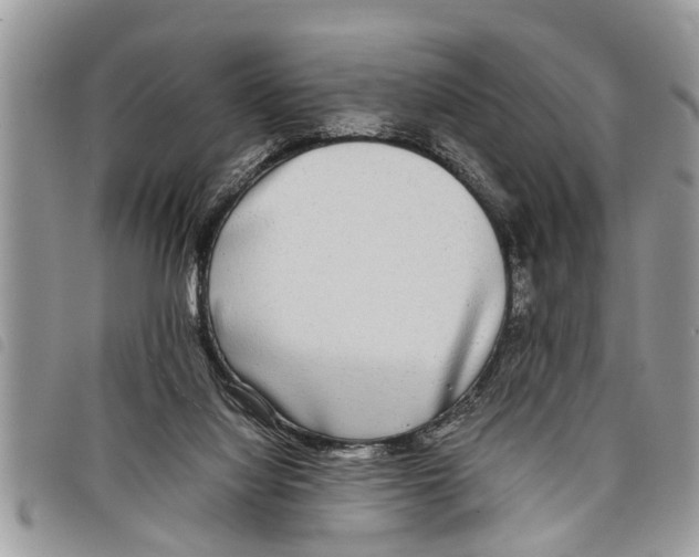 X0000097800068200804110935