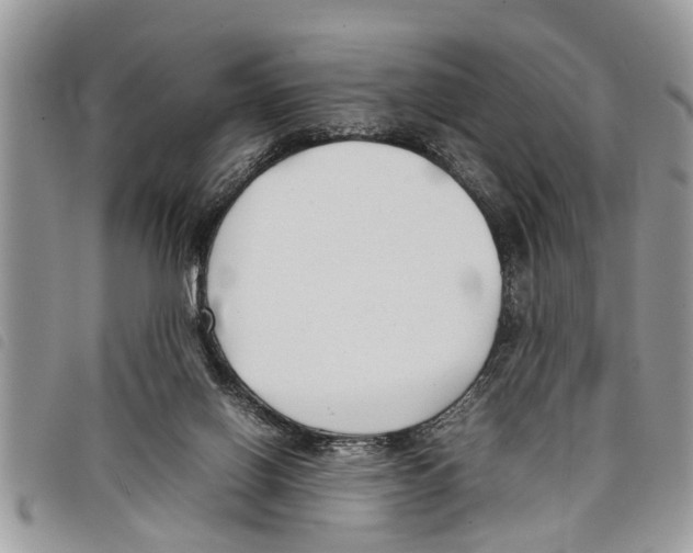 X0000097800070200804110935