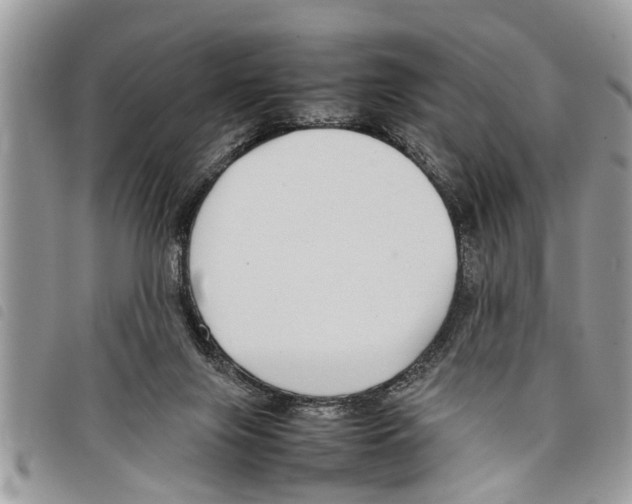 X0000097800071200804110935