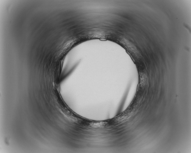 X0000097800072200804110935