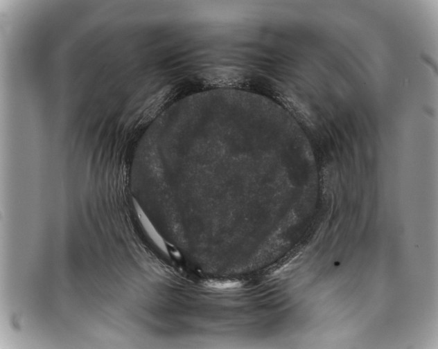 X0000097800073200804110935