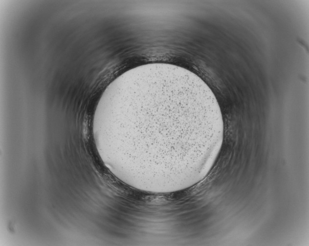 X0000097800074200804110935