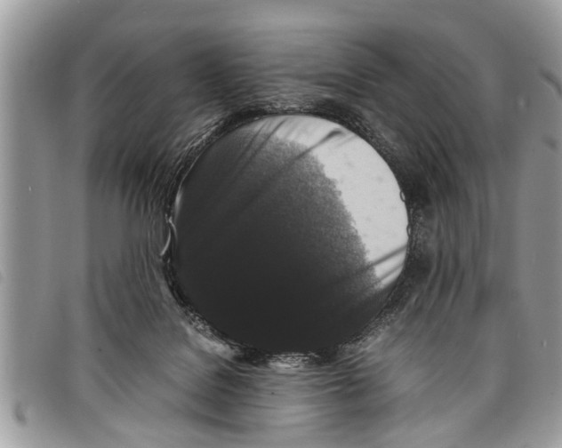 X0000097800076200804110935