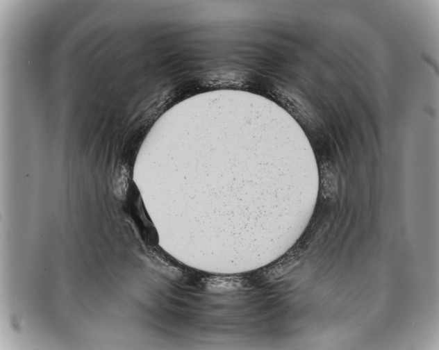 X0000097800077200804110935