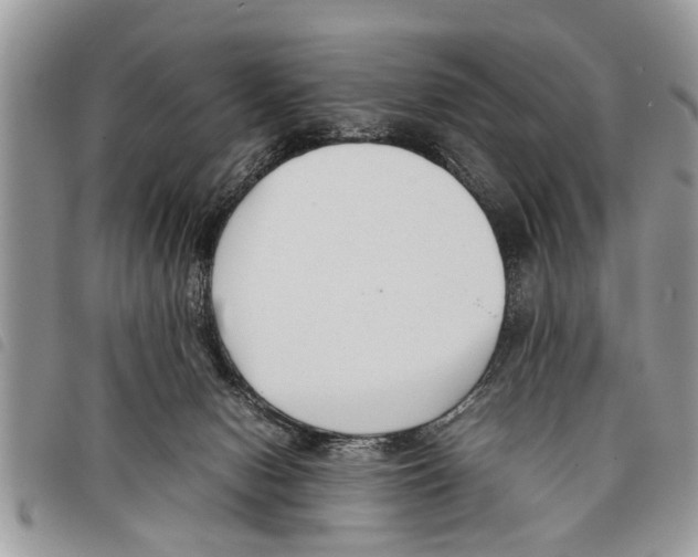 X0000097800078200804110935