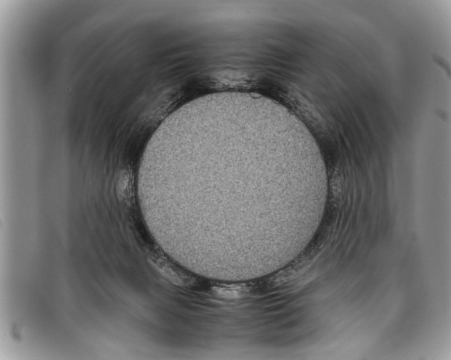 X0000097800079200804110935