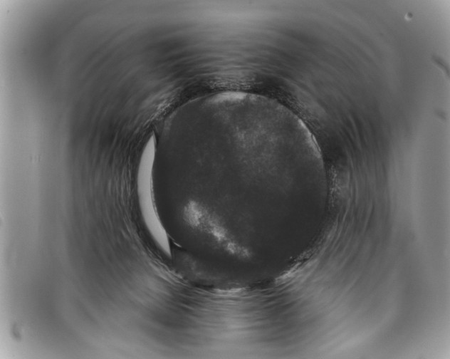 X0000097800080200804110935