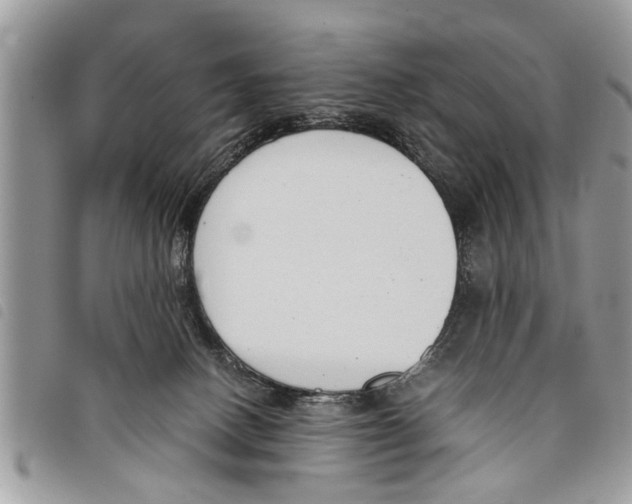 X0000097800082200804110935