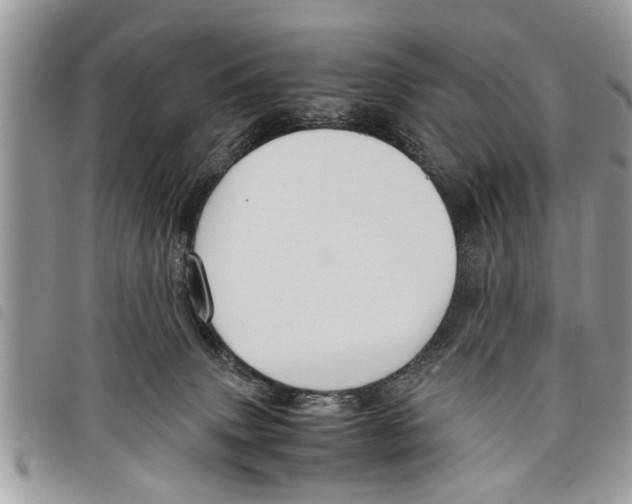 X0000097800083200804110935