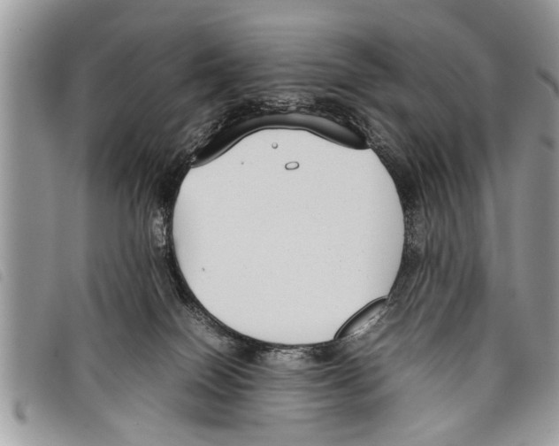 X0000097800086200804110935