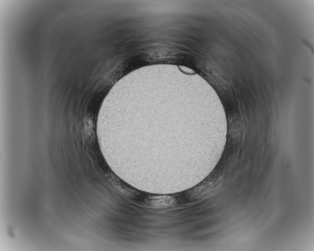 X0000097800087200804110935