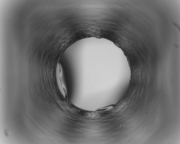 X0000097800088200804110935