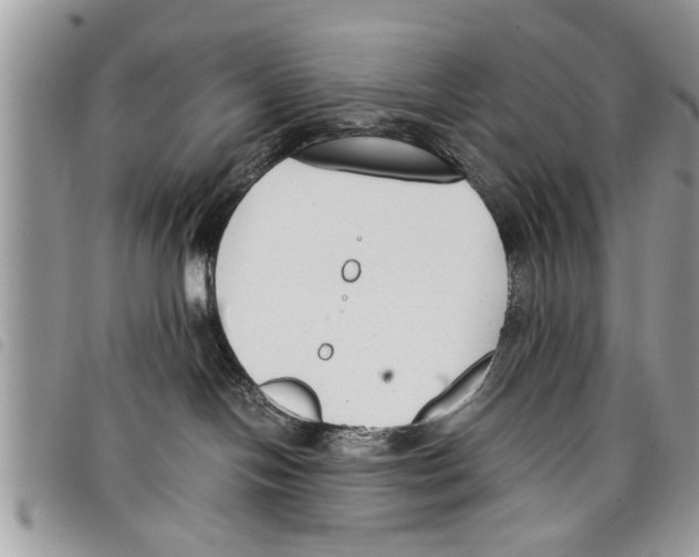 X0000097800094200804110936