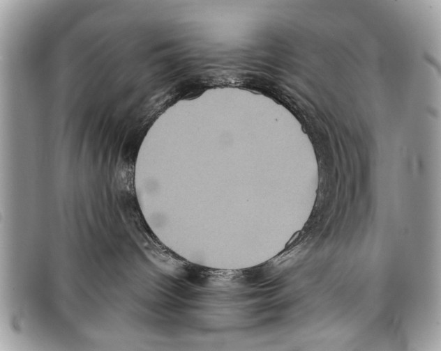 X0000097800096200804110936