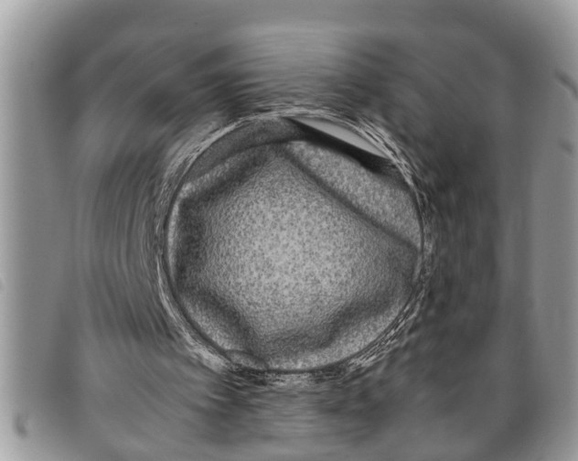 X0000097800097200804110935