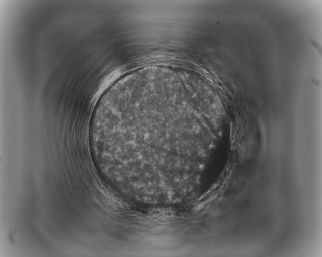 X0000097800099200804110935