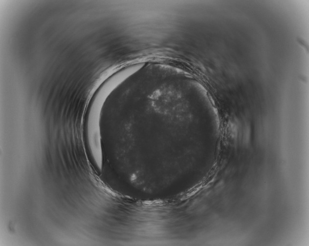 X0000097800100200804110935