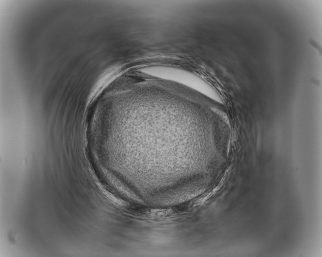 X0000097800101200804110935