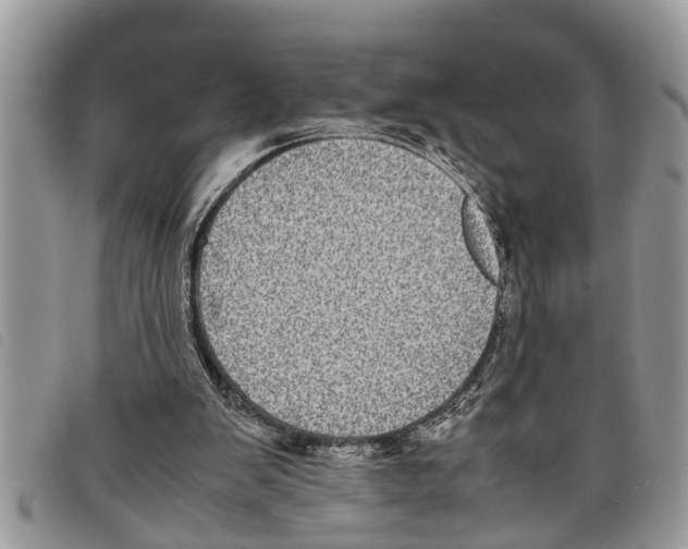 X0000097800103200804110935