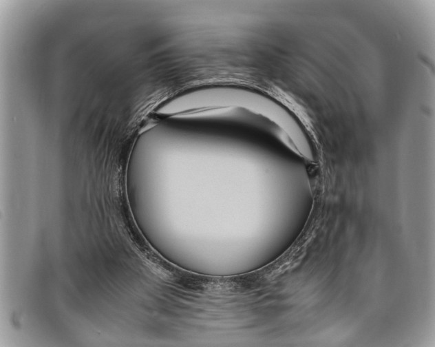 X0000097800105200804110935