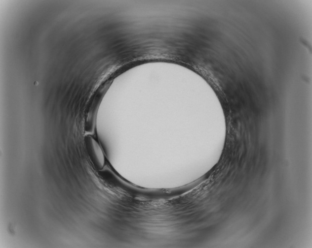 X0000097800108200804110935