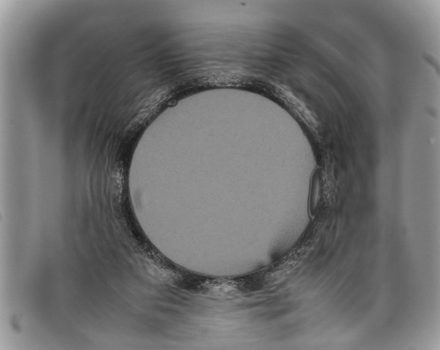 X0000097800113200804110935