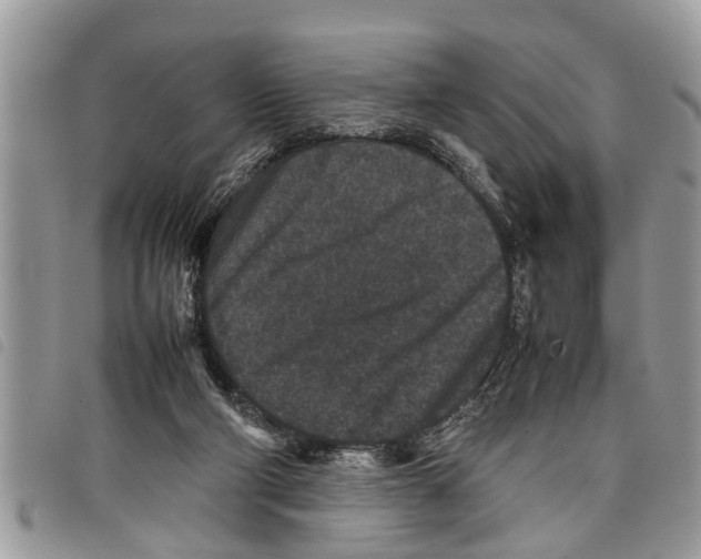 X0000097800114200804110935