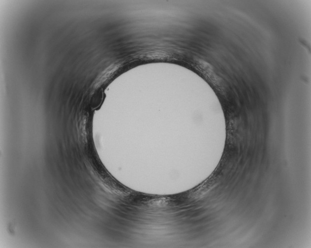 X0000097800116200804110935