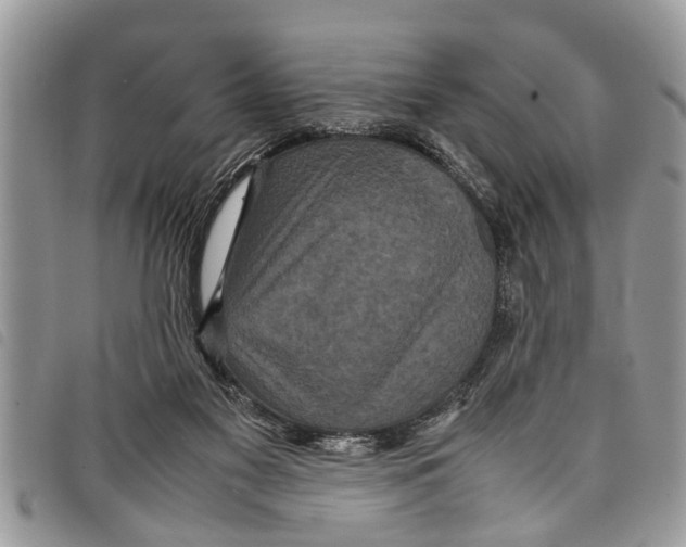 X0000097800117200804110935