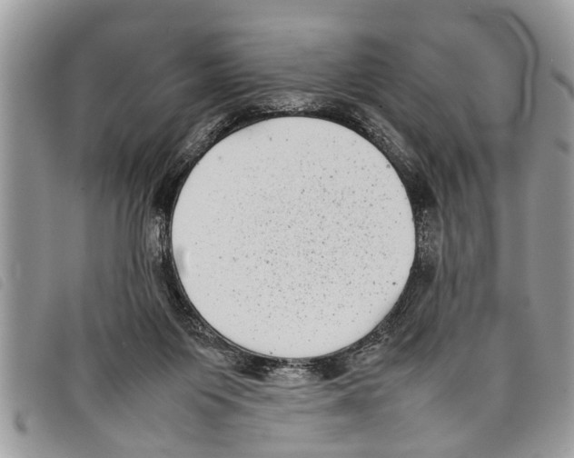 X0000097800119200804110935