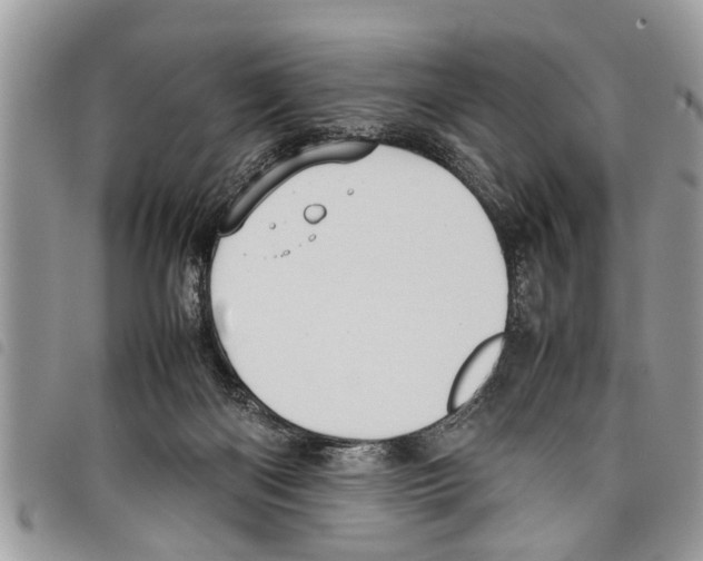 X0000097800122200804110935