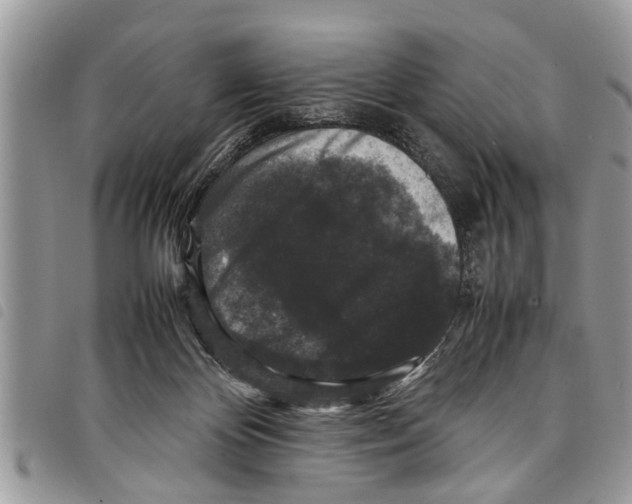 X0000097800124200804110935