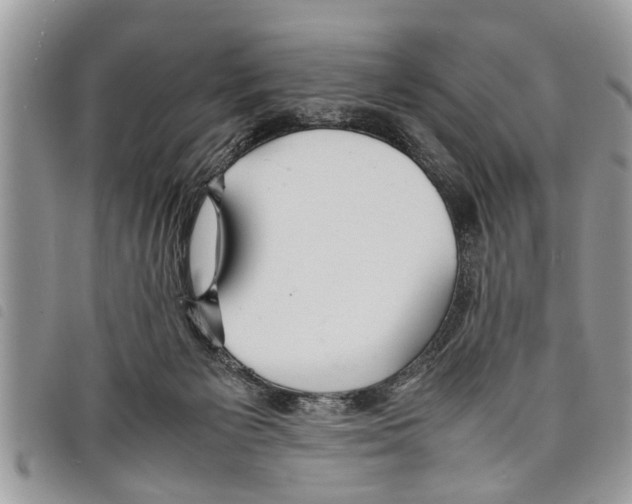 X0000097800125200804110935