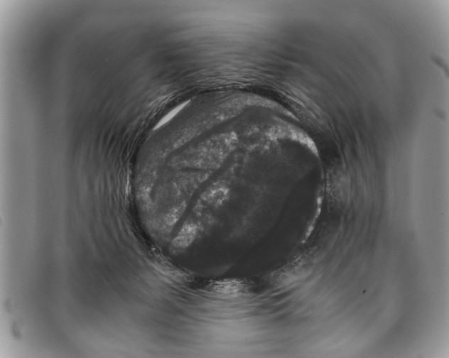 X0000097800127200804110935