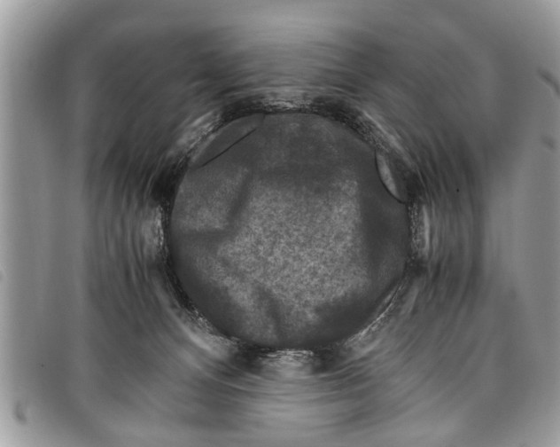 X0000097800128200804110935