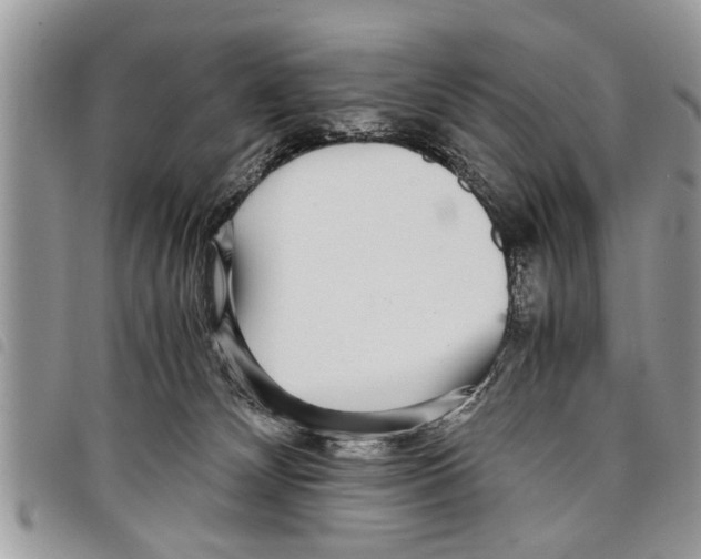 X0000097800132200804110934