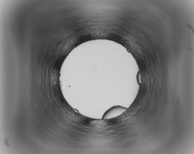 X0000097800133200804110934