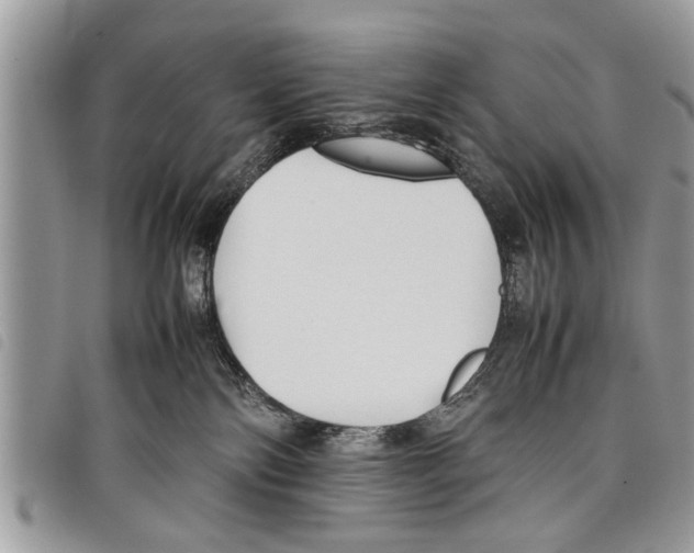 X0000097800138200804110934