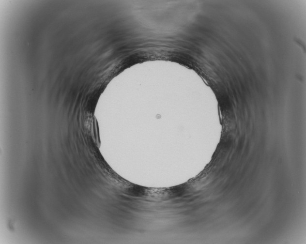 X0000097800141200804110934