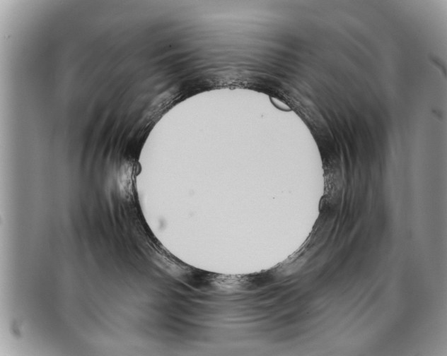 X0000097800142200804110934