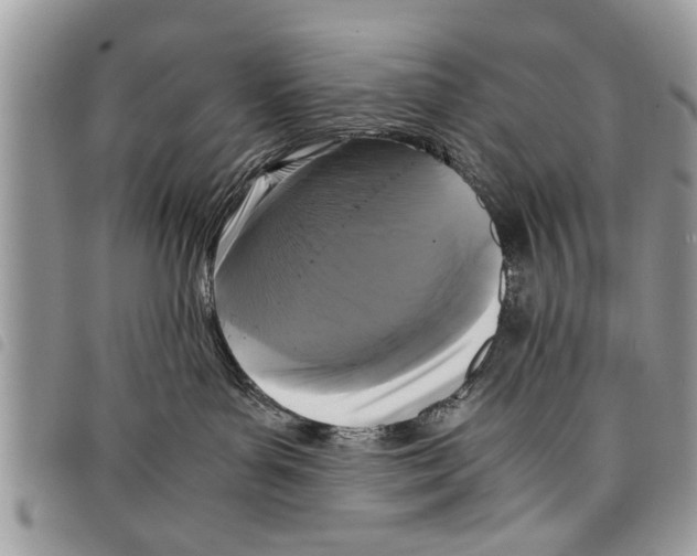 X0000097800143200804110934