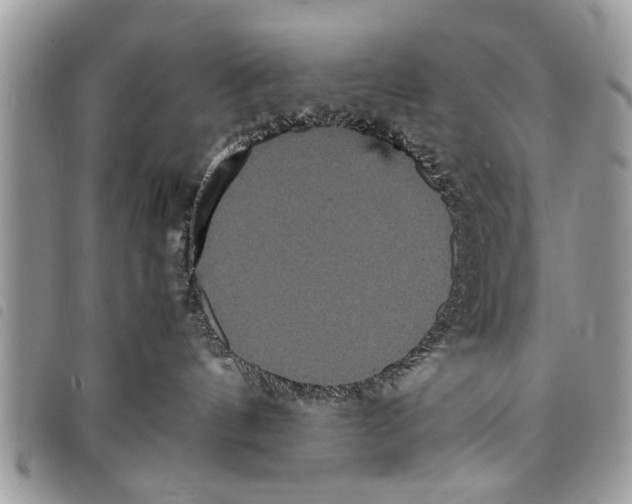 X0000097800144200804110934