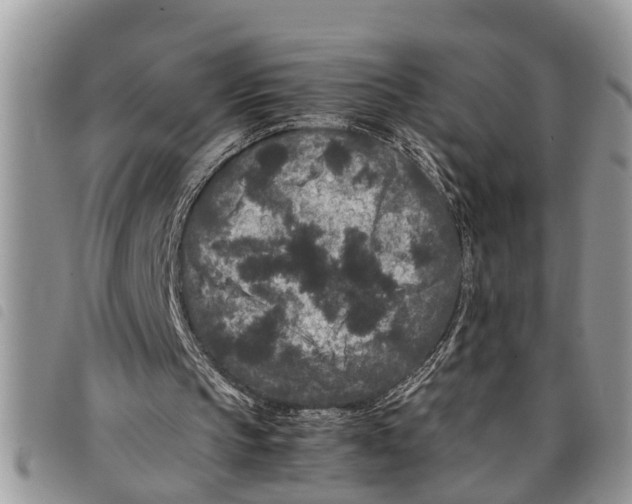 X0000097800145200804110933