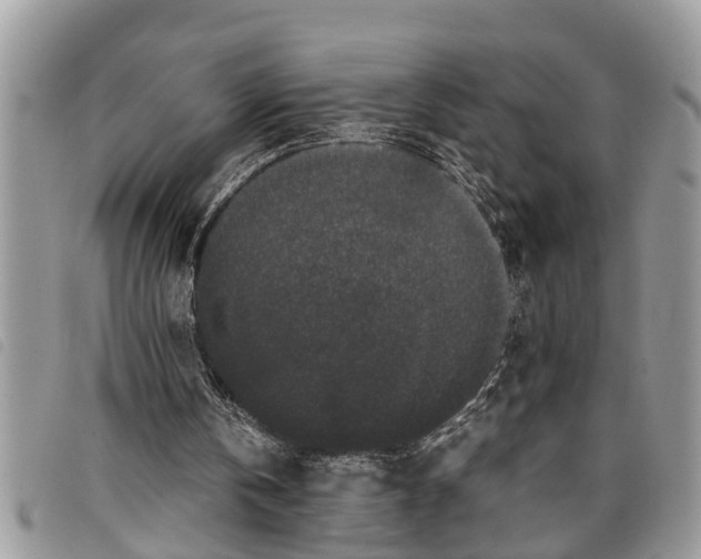 X0000097800146200804110933