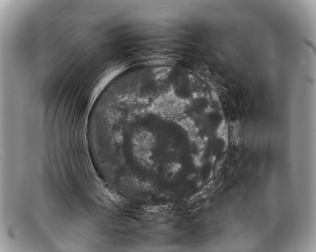 X0000097800147200804110933