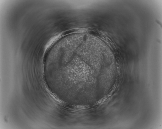 X0000097800149200804110933