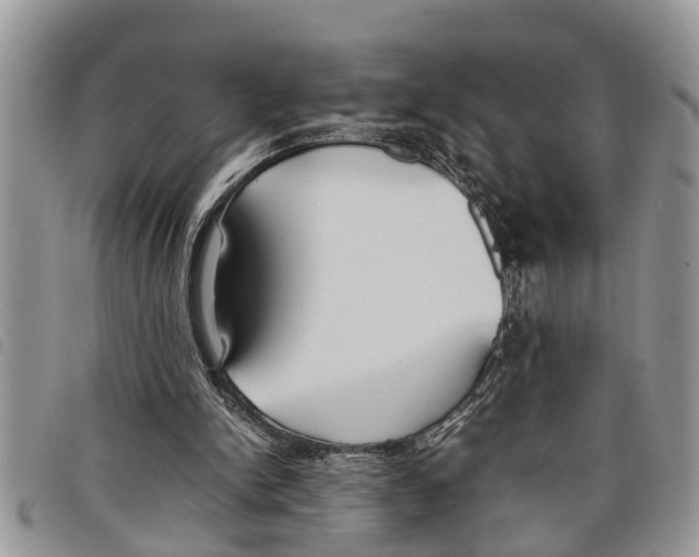 X0000097800150200804110934