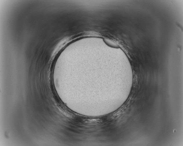 X0000097800151200804110934